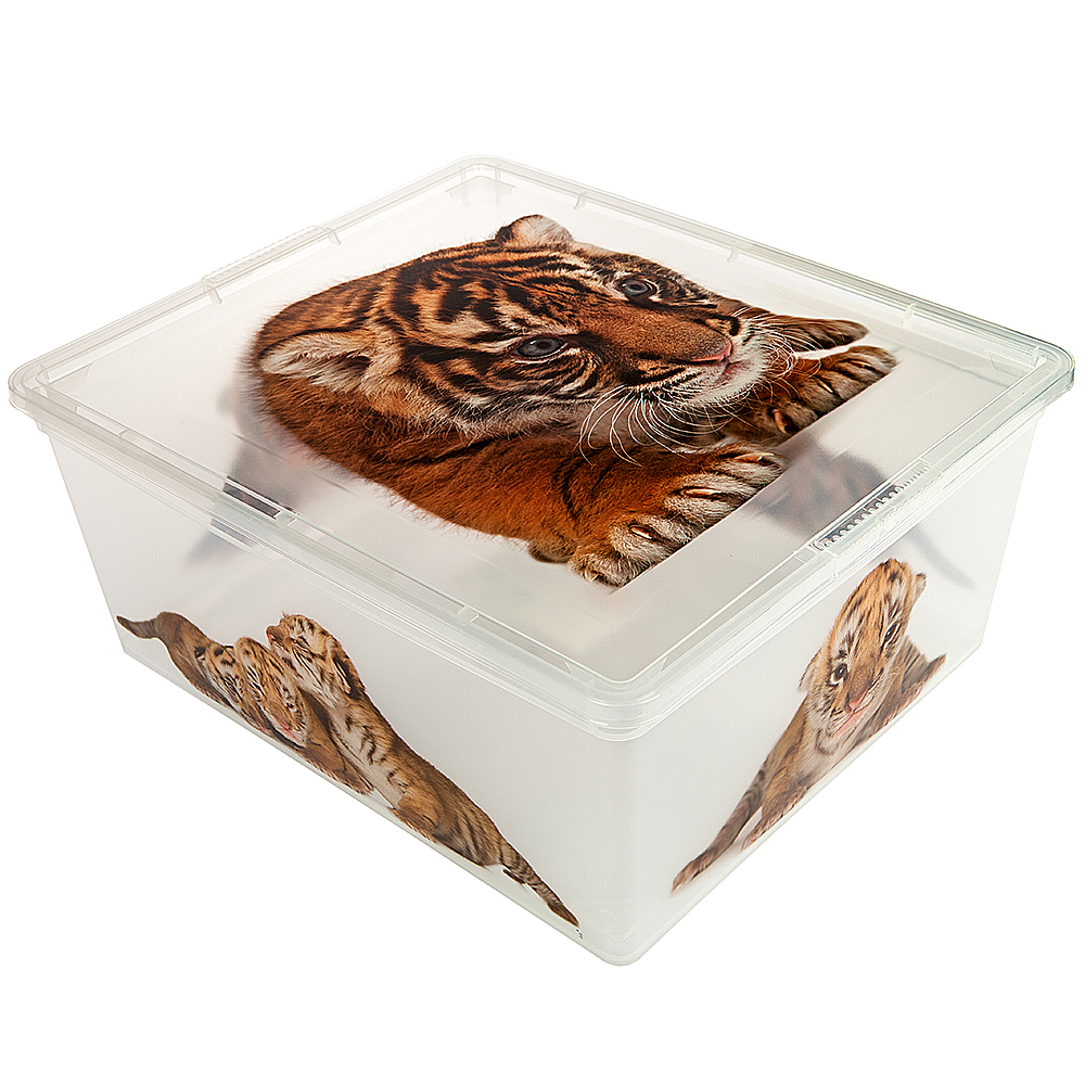 Подробнее о Контейнер для хранения Wild kittens