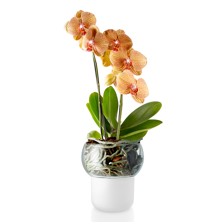 Горшок для орхидеи с функцией автополива Orchid, 13 см, Стекло, Керамика, Нейлон, Eva Solo, Дания