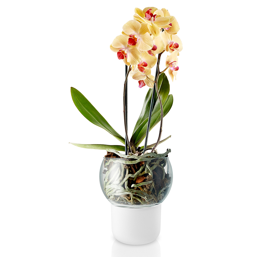 Горшок для орхидеи с автополивом Orchid, 15  см, Стекло, Керамика, Нейлон, Eva Solo, Дания