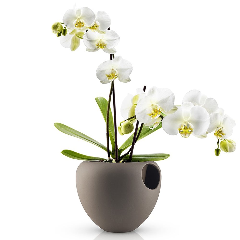     Orchid pot, 18 , 15 , , , Eva Solo, 