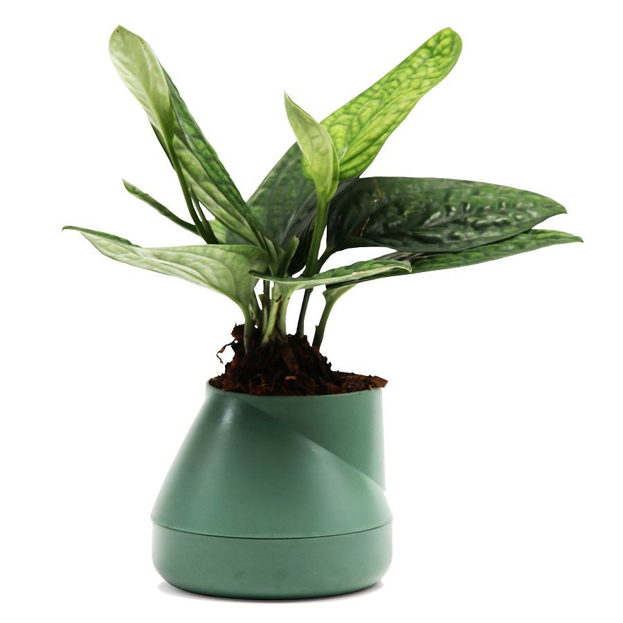 Горшок цветочный Hill pot green 13, 13 см, 10,5 см, Пластик, Qualy, Таиланд