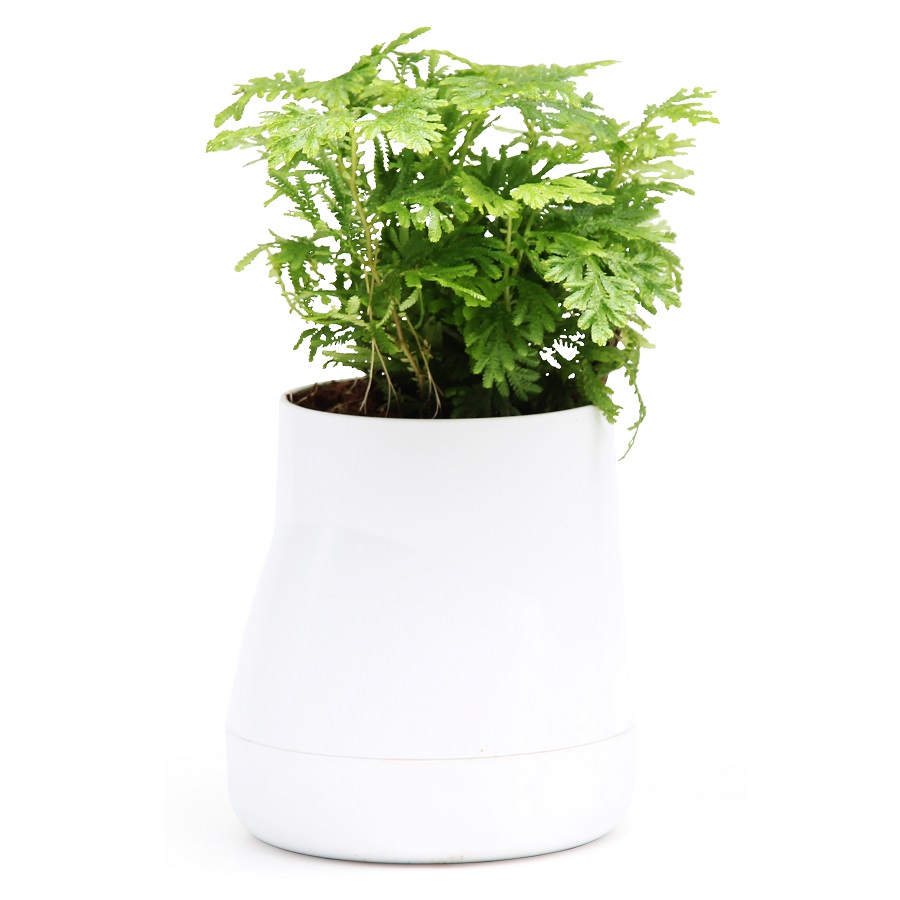 Горшок цветочный Hill Pot L white, 13 см, 14 см, Пластик, Qualy, Таиланд