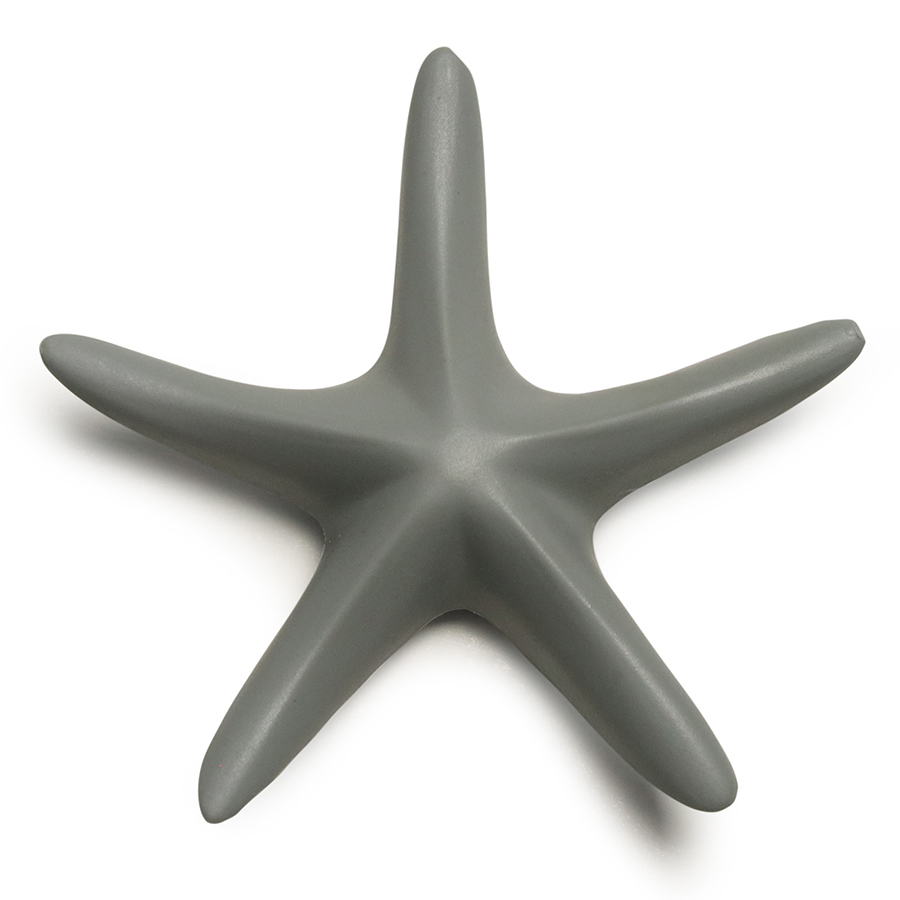  Animale Sea Star, 77 , , Qualy, 