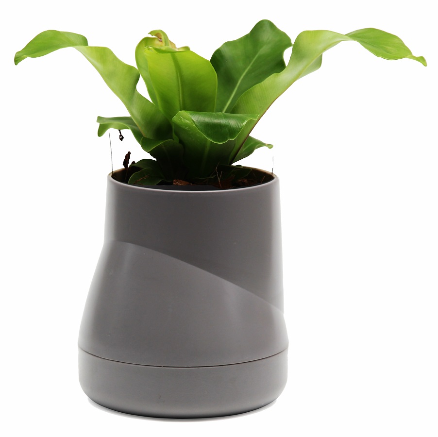 Горшок цветочный hill pot, большой, серый, 13 см, 14 см, Пластик, Qualy, Таиланд