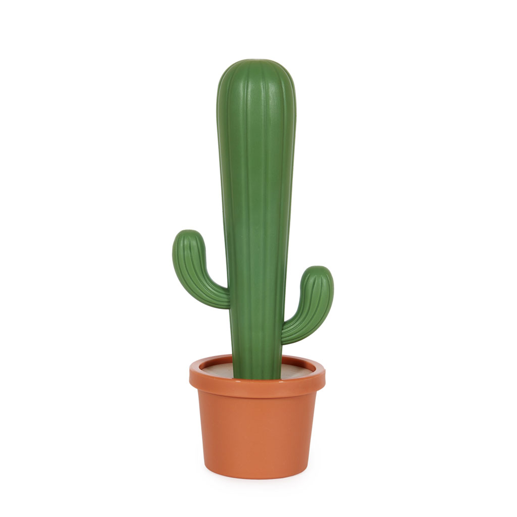 ٸ    Cactus, 21 , , Balvi, 