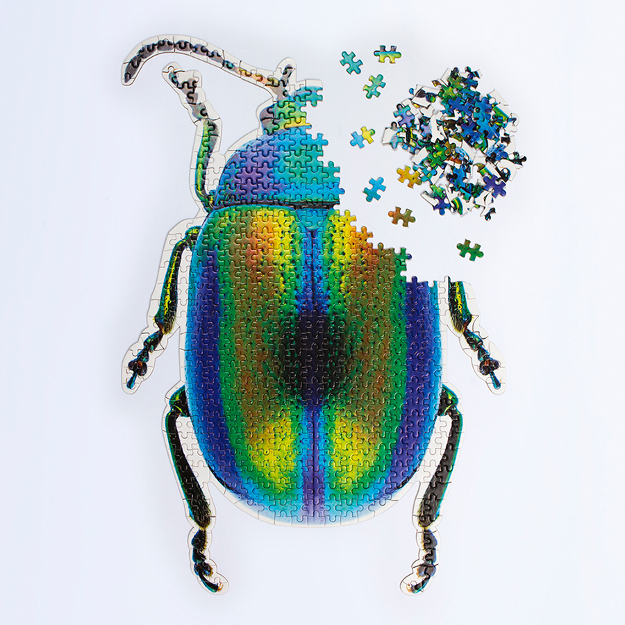  Slow beetle, 22x10 , , Doiy, 