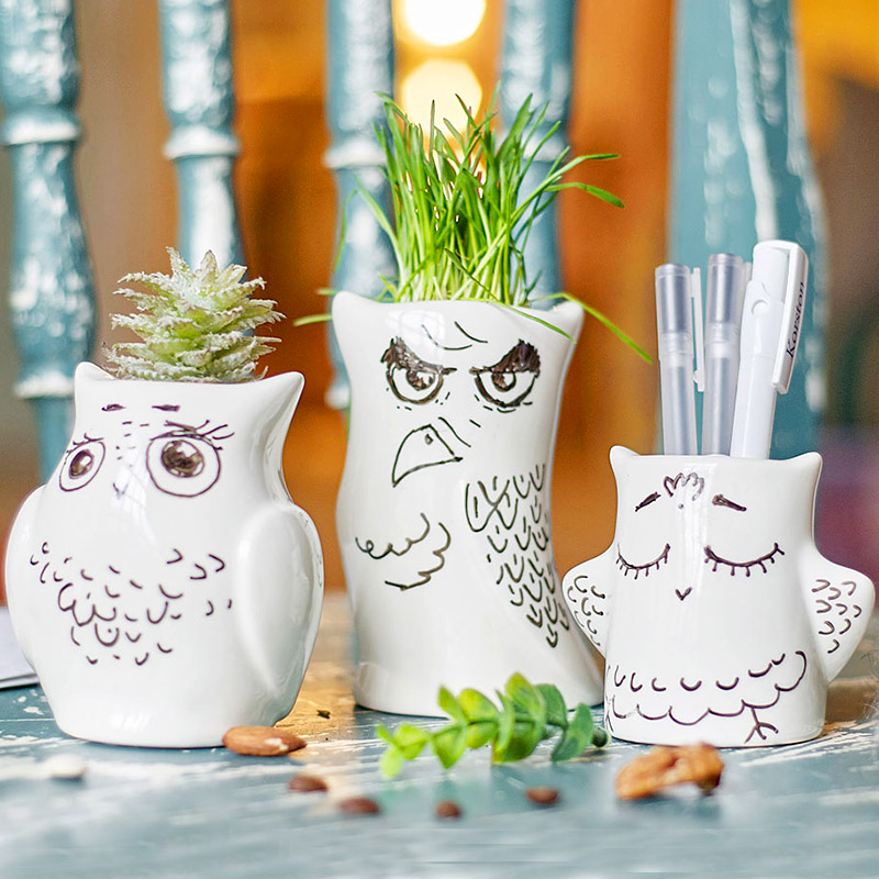     Eco owls, 3 ., , 