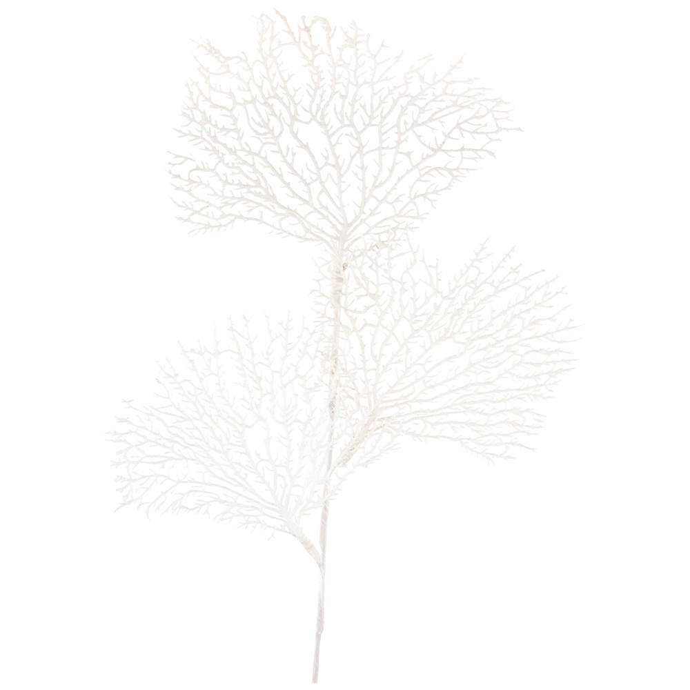   Tree, 70 , , Lefard, 