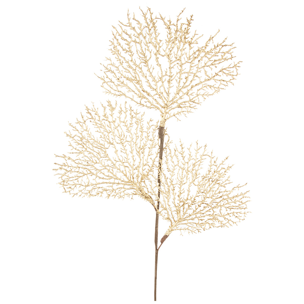   Tree, 70 , , Lefard, 