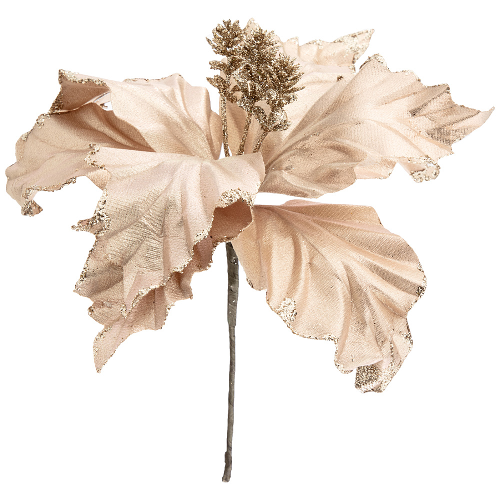   Poinsettia Beige, 27 , , Lefard, 