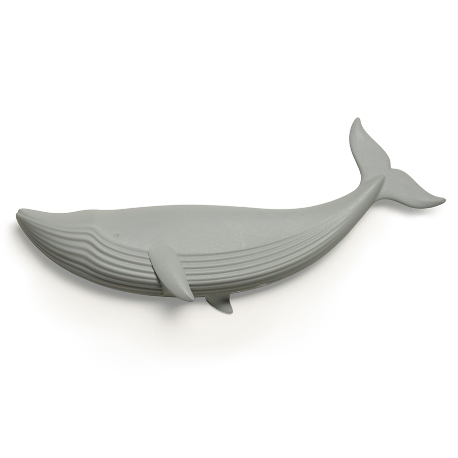  Animale Blue Whale, 167 , , Qualy, 
