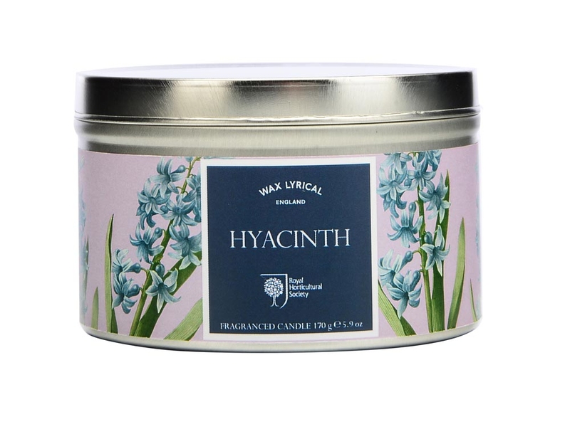    Hyacinth, 8x6 , , Wax Lyrical, , , 