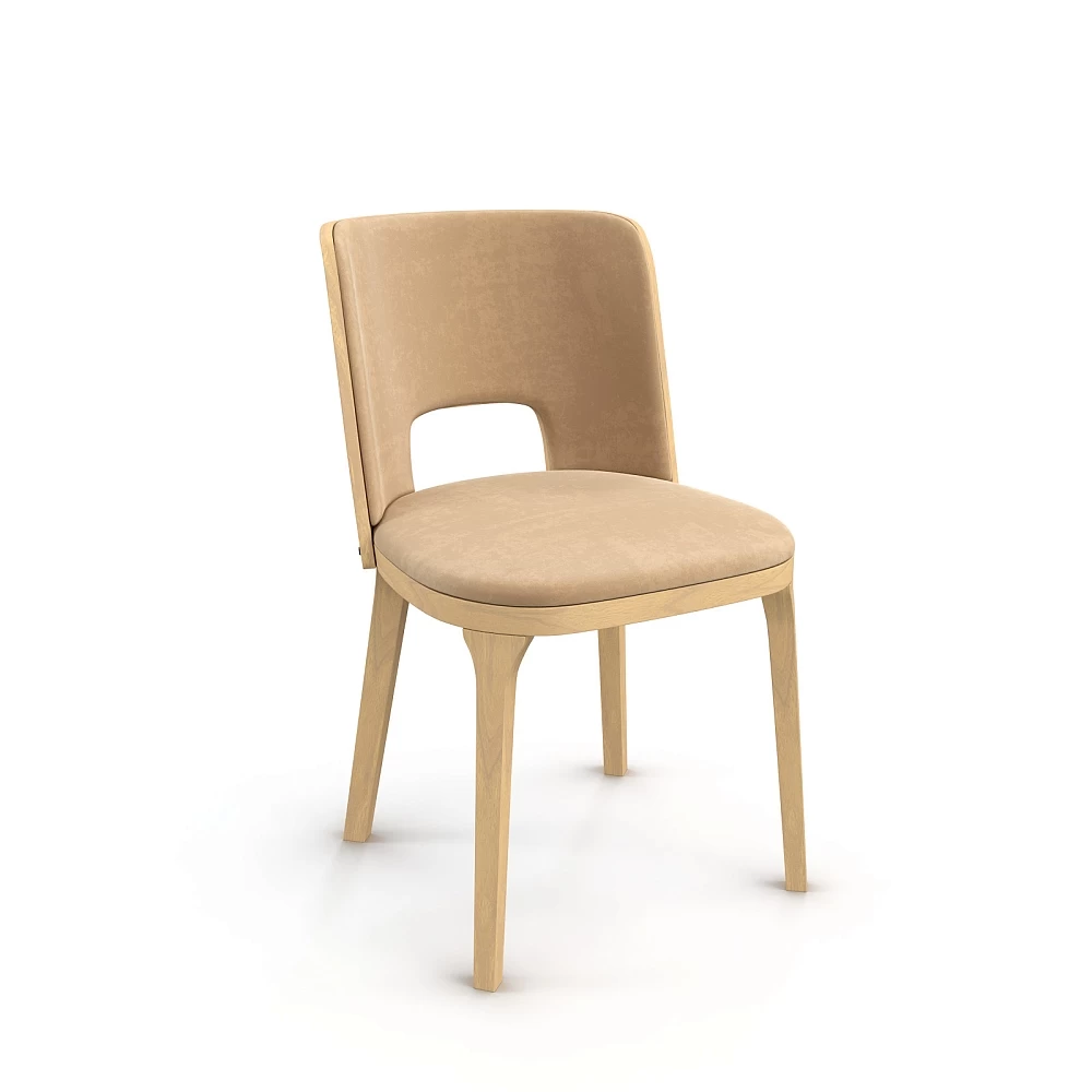        LUCCA-F, 5653 , 79 , , ALBERO BELLO, , Moderno