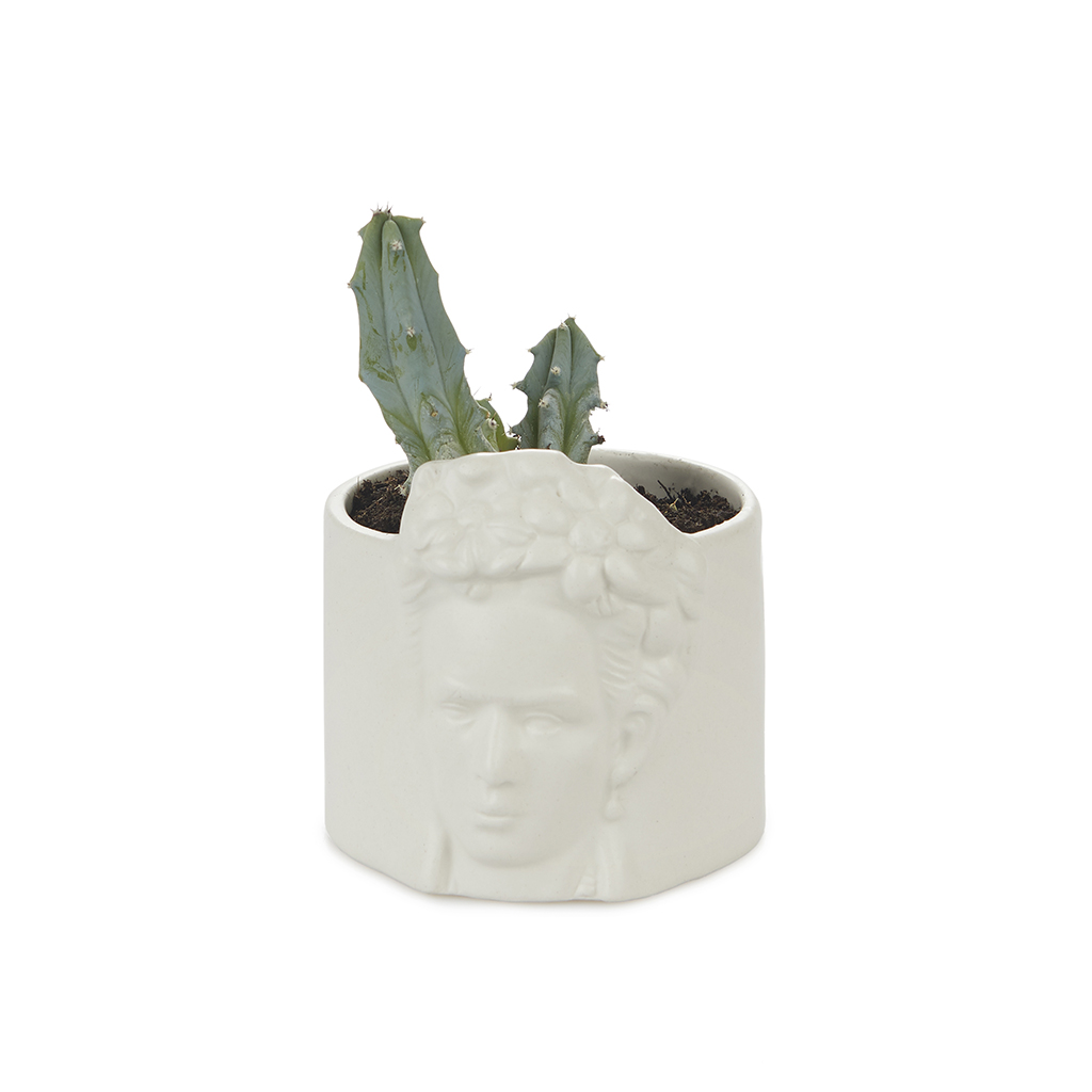 Горшок керамический для цветов Frida white, 9 см, 10 см, Керамика, Balvi, Испания