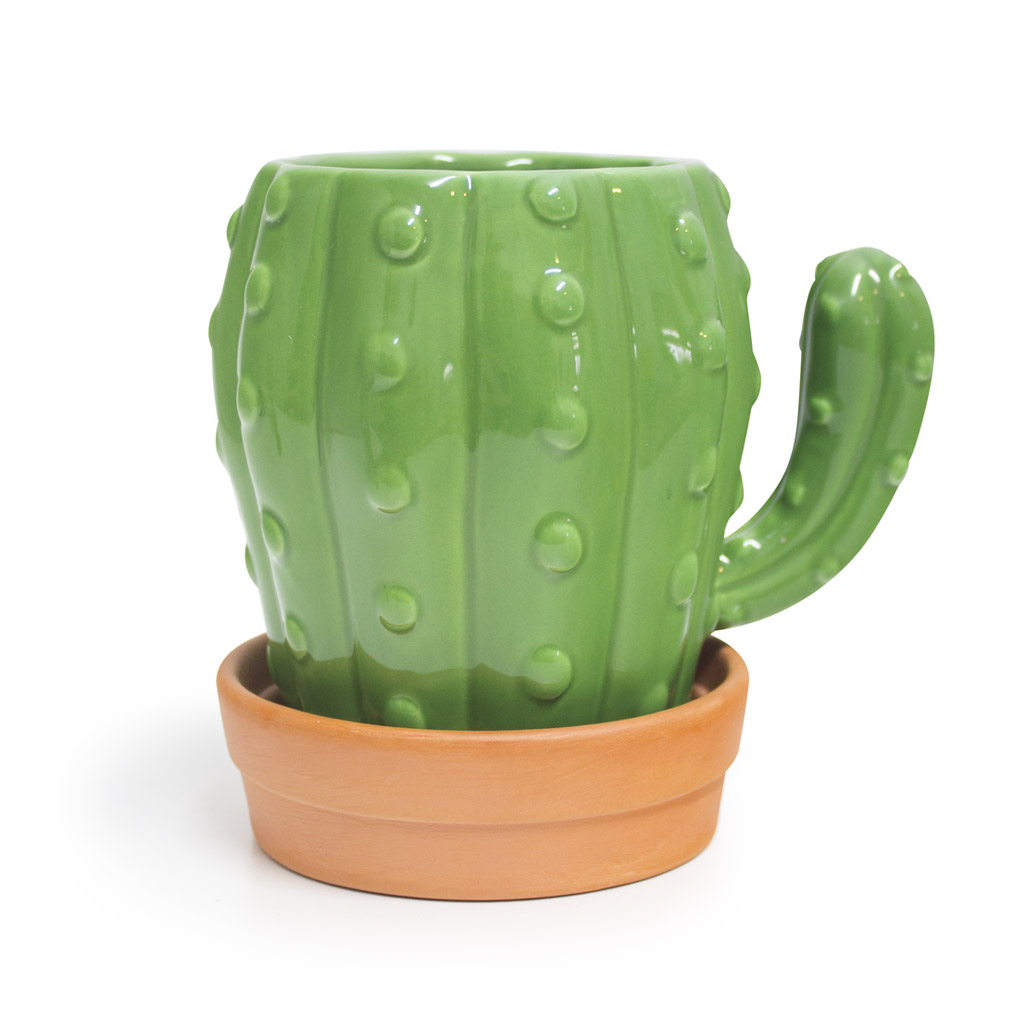  Cactus Saucer Green, 13 , 11 , 450 , , Balvi, , 1 