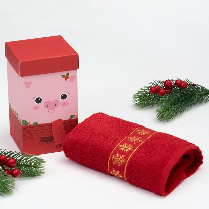   Christmas Pig, 70x30 , , Deco, 