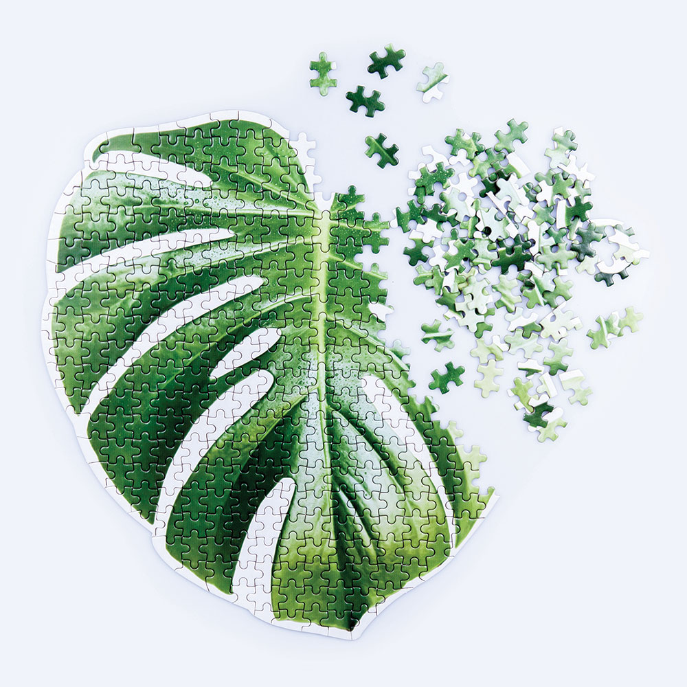  Monstera, 2523 , , Doiy, 