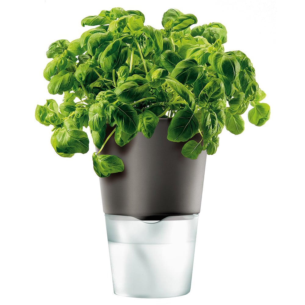     Herb pot, 12 , 18 , , , , Eva Solo, 