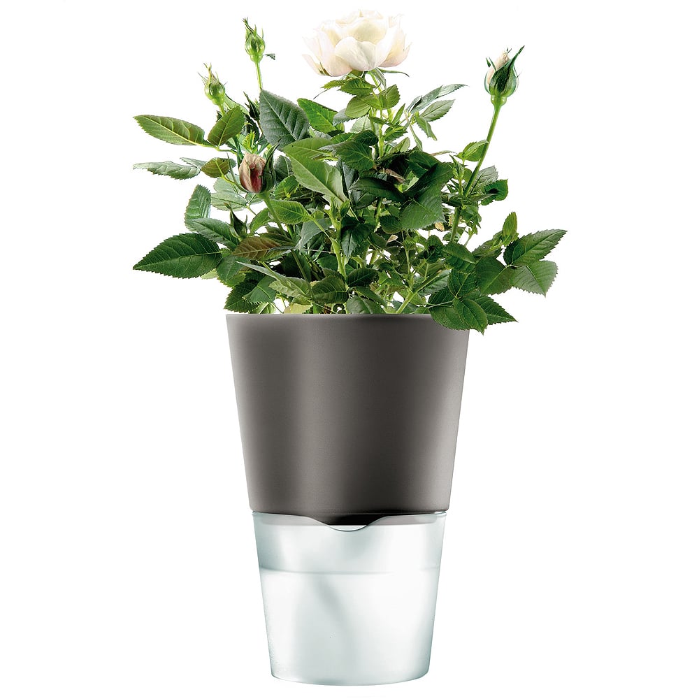Цветочный горшок с автополивом Herb pot, 14 см, 20 см, Стекло, Фарфор, Пластик, Eva Solo, Дания