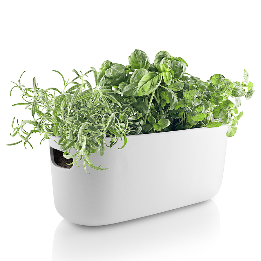 Кашпо для растений с функцией самополива white, 31x13 см, 13 см, Керамика, Пластик, Eva Solo, Дания