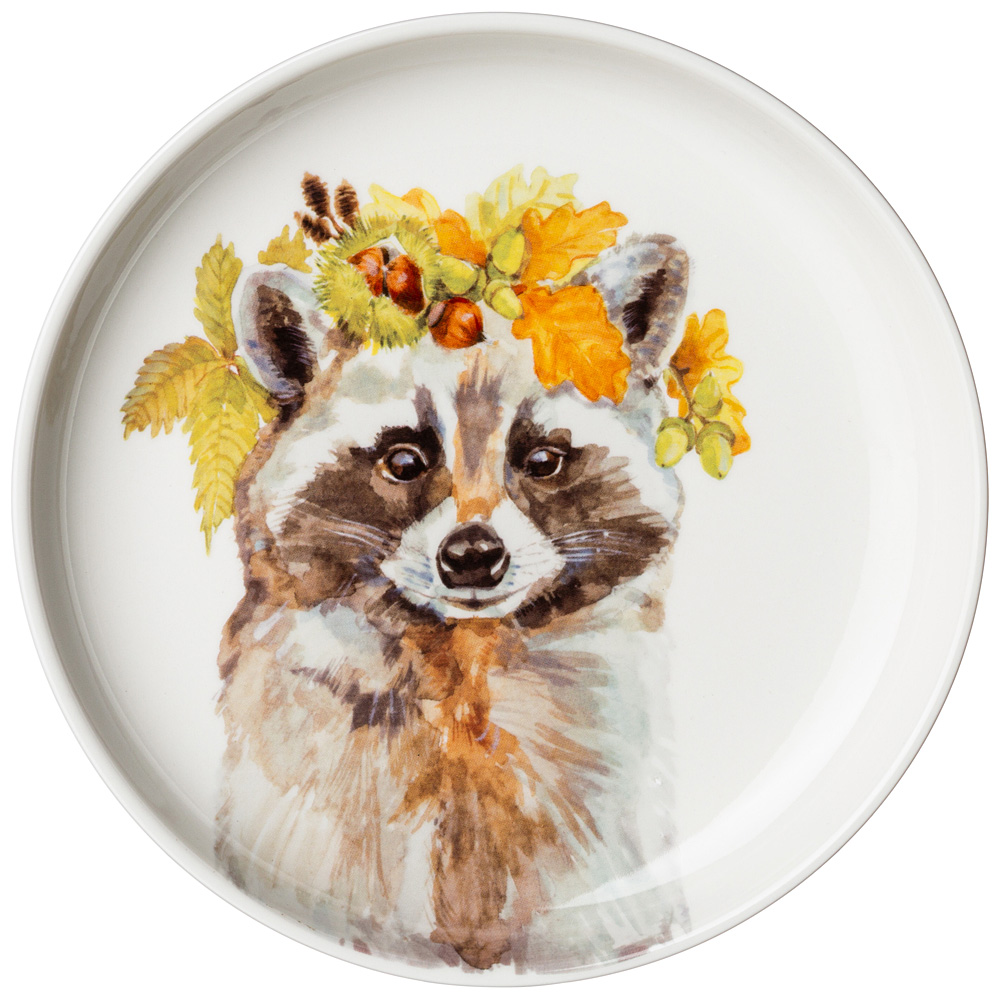   Forest fairytale Raccoon