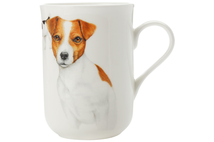  Jack Russell White, 300 , , Maxwell & Williams, 