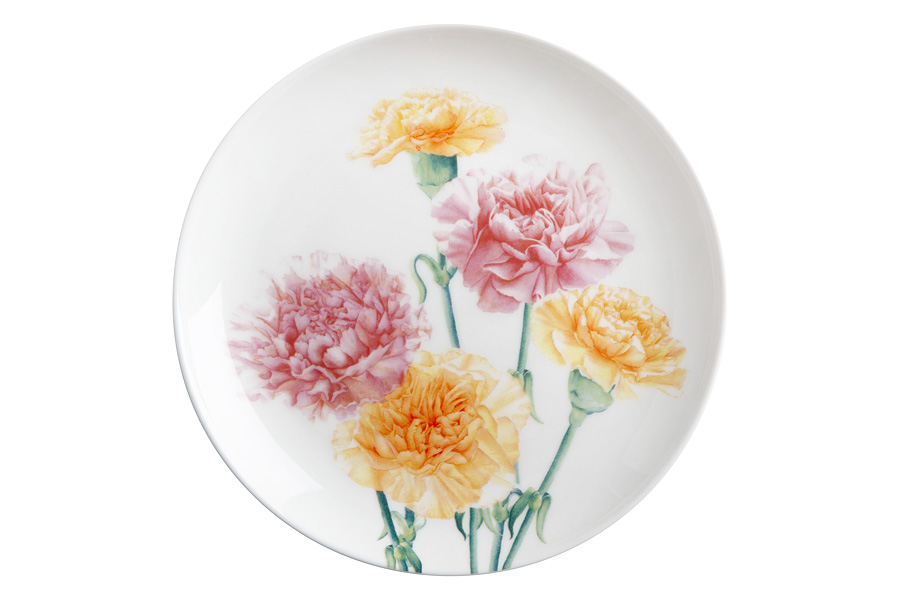   Floriada Carnation, 20 , , Maxwell & Williams, 