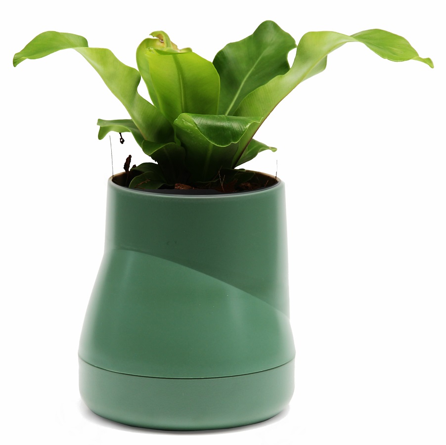 Горшок цветочный Hill Pot L green, 13 см, 14 см, Пластик, Qualy, Таиланд