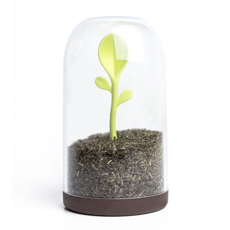     Sprout jar, 16 , 9 , , Qualy, 
