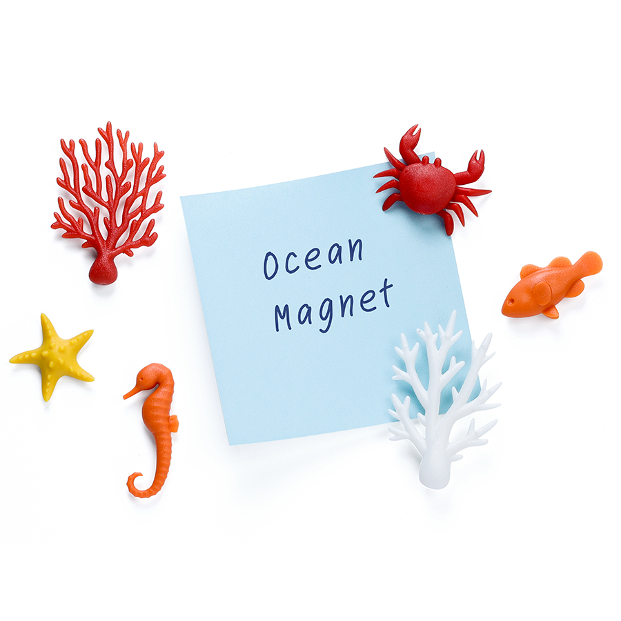 Набор магнитов для холодильника Ocean, 6 шт., Пластик, Qualy, Таиланд