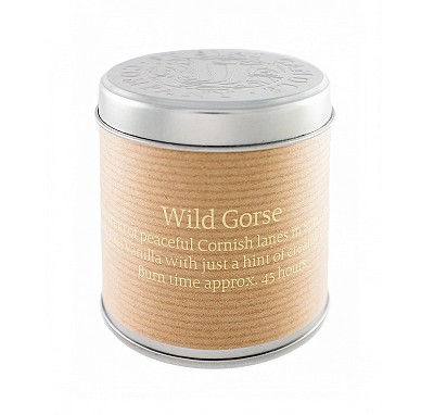    Wild grose, 8 , , St Eval Candle Co, , ,  