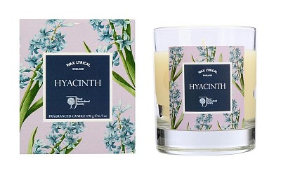   Hyacinth, 8x10 , , Wax Lyrical, , , 