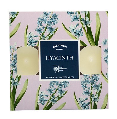    Hyacinth, Wax Lyrical, , , 
